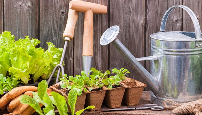 Organic Gardening Ideas To Maximise Your Garden`s Potential