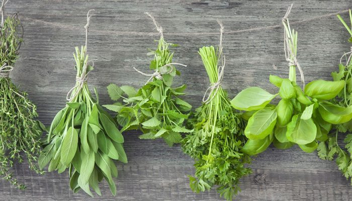 Be Healthy For Less: Helpful Herbs